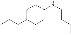 N-butyl-4-propylcyclohexan-1-amine 구조식 이미지