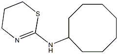 N-cyclooctyl-5,6-dihydro-4H-1,3-thiazin-2-amine 구조식 이미지