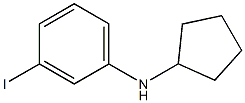 N-cyclopentyl-3-iodoaniline 구조식 이미지