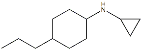 N-cyclopropyl-4-propylcyclohexan-1-amine 구조식 이미지
