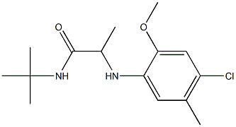 N-tert-butyl-2-[(4-chloro-2-methoxy-5-methylphenyl)amino]propanamide 구조식 이미지