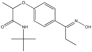 N-tert-butyl-2-{4-[1-(hydroxyimino)propyl]phenoxy}propanamide 구조식 이미지