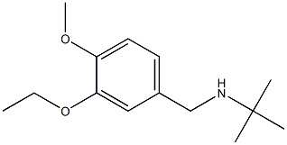 tert-butyl[(3-ethoxy-4-methoxyphenyl)methyl]amine Structure