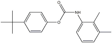 4-tert-butylphenyl 2,3-dimethylphenylcarbamate 구조식 이미지