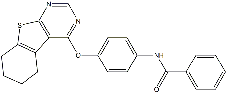 N-[4-(5,6,7,8-tetrahydro[1]benzothieno[2,3-d]pyrimidin-4-yloxy)phenyl]benzamide Structure