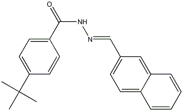 4-(tert-butyl)-N'-[(E)-2-naphthylmethylidene]benzohydrazide Structure