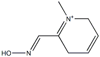 2,5-Dihydro-1-methyl-6-[(hydroxyimino)methyl]pyridinium 구조식 이미지