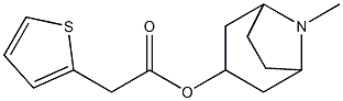 Thiophene-2-acetic acid 8-methyl-8-azabicyclo[3.2.1]octan-3-yl ester Structure