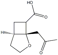 (1R,5R)-1-(2-Oxopropyl)-2-oxabicyclo[3.2.0]heptane-7-carboxylic acid 구조식 이미지