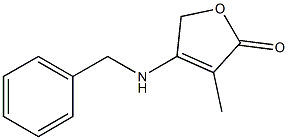 4-(Benzylamino)-3-methyl-2(5H)-furanone Structure