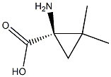 [R,(+)]-2,2-Dimethyl-1-aminocyclopropanecarboxylic acid Structure
