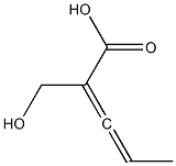 (S)-2-(Hydroxymethyl)-2,3-pentadienoic acid 구조식 이미지
