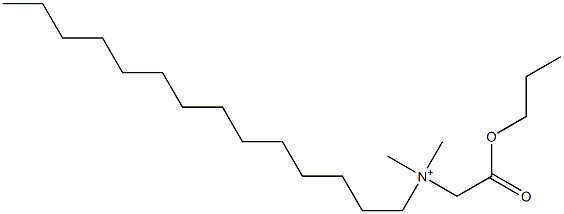 N,N-Dimethyl-N-(propoxycarbonylmethyl)-1-tetradecanaminium 구조식 이미지