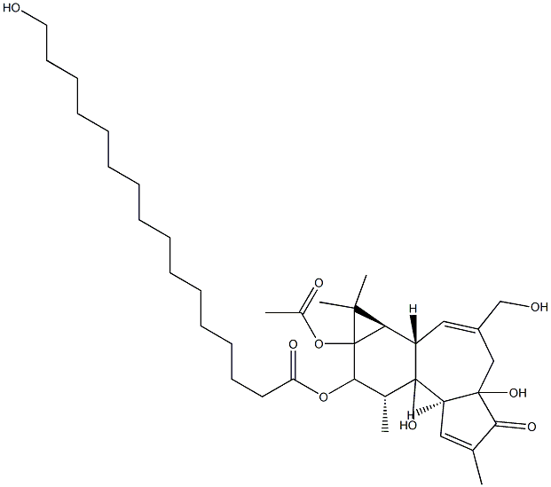 13-Acetoxy-12-(hexadecanoyloxy)-4,9,16,20-tetrahydroxy-1,6-tigliadien-3-one 구조식 이미지