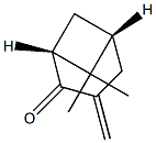 (4R,6R)-2-Methylene-4,6-methano-5,5-dimethyl-1-cyclohexanone Structure