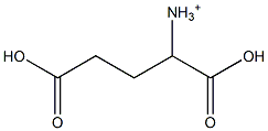 (1,3-Dicarboxypropyl)aminium Structure