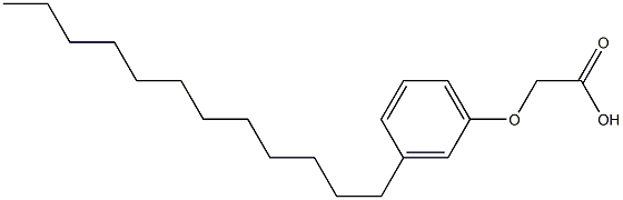 3-Dodecylphenoxyacetic acid Structure