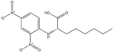 (2S)-2-(2,4-Dinitrophenylamino)octanoic acid 구조식 이미지