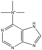 (7H-Purine-6-yl)trimethylaminium Structure