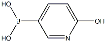 6-Hydroxypyridine-3-boronic acid Structure