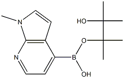 1-Methyl-7-azaindole-4-boronic acid pinacol ester 구조식 이미지