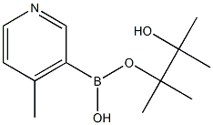 4-Methylpyridine-3-boronic acid pinacol ester 구조식 이미지