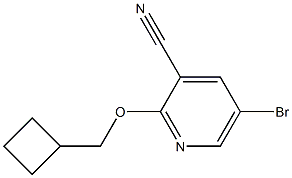5-bromo-2-(cyclobutylmethoxy)pyridine-3-carbonitrile 구조식 이미지