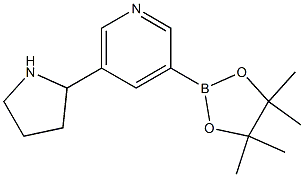 3-(4,4,5,5-tetraMethyl-1,3,2-dioxaborolan-2-yl)-5-(pyrrolidin-2-yl)pyridine 구조식 이미지