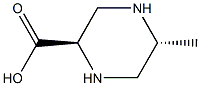 (2R,5R)-5-methylpiperazine-2-carboxylic acid Structure