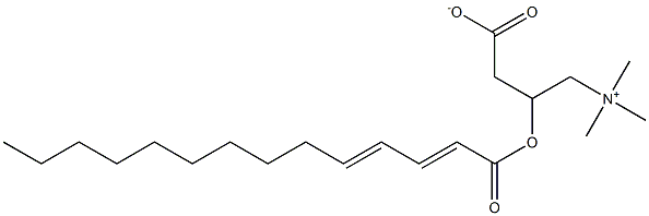 Tetradeca-2,4-dien-oyl Carnitine 구조식 이미지