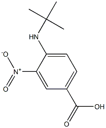 4-TERT-BUTYLAMINO-3-NITRO-BENZOIC ACID Structure