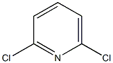 2,6-Dichlouopyridine 구조식 이미지