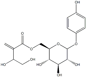 4-hydroxyphenyl-6-O-(3,4-dihydroxy-2-methylenebutanoyl)glucopyranoside Structure