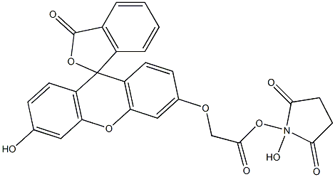 N-hydroxysuccinimidyl fluorescein-O-acetate Structure