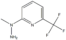 1-[6-(Trifluoromethyl)pyrid-2-yl]-1-methyl hydrazine 구조식 이미지