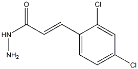 (E)-3-(2,4-dichlorophenyl)-2-propenohydrazide 구조식 이미지