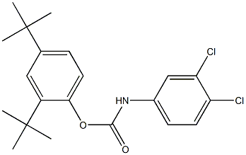 2,4-di(tert-butyl)phenyl N-(3,4-dichlorophenyl)carbamate 구조식 이미지