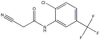 N1-[2-chloro-5-(trifluoromethyl)phenyl]-2-cyanoacetamide 구조식 이미지