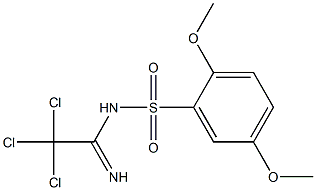 N1-(2,2,2-trichloroethanimidoyl)-2,5-dimethoxybenzene-1-sulfonamide Structure