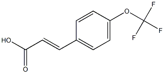 (E)-3-(4-(trifluoromethoxy)phenyl)acrylic acid 구조식 이미지