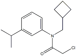 2-choro-N-(cyclobutylmethyl)-N-(3-isopropylphenyl)acetamide 구조식 이미지