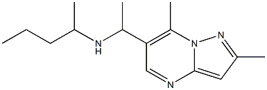 (1-{2,7-dimethylpyrazolo[1,5-a]pyrimidin-6-yl}ethyl)(pentan-2-yl)amine 구조식 이미지