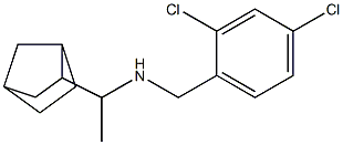 (1-{bicyclo[2.2.1]heptan-2-yl}ethyl)[(2,4-dichlorophenyl)methyl]amine 구조식 이미지