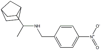 (1-{bicyclo[2.2.1]heptan-2-yl}ethyl)[(4-nitrophenyl)methyl]amine Structure
