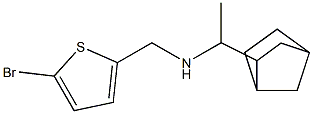 (1-{bicyclo[2.2.1]heptan-2-yl}ethyl)[(5-bromothiophen-2-yl)methyl]amine Structure