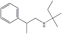 (2-methylbutan-2-yl)(2-phenylpropyl)amine 구조식 이미지