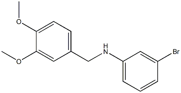 (3-bromophenyl)(3,4-dimethoxyphenyl)methylamine 구조식 이미지