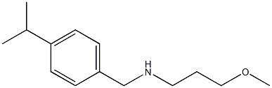(3-methoxypropyl)({[4-(propan-2-yl)phenyl]methyl})amine 구조식 이미지