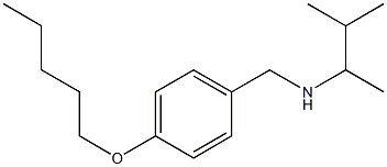 (3-methylbutan-2-yl)({[4-(pentyloxy)phenyl]methyl})amine 구조식 이미지