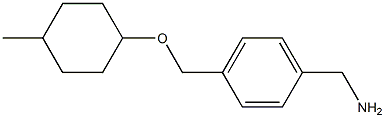 (4-{[(4-methylcyclohexyl)oxy]methyl}phenyl)methanamine Structure